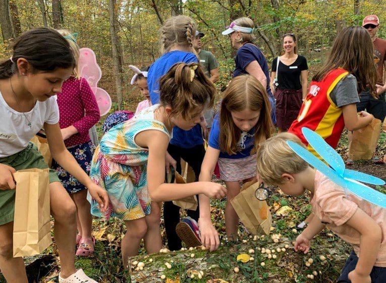 NorcrossYouth A group of children in the woods picking leaves.
