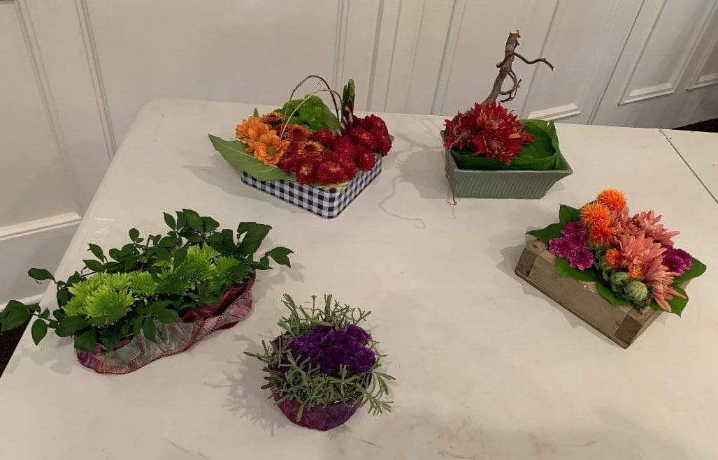containers A table with several different types of plants in bowls.