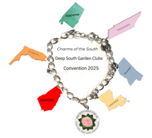 DeepSouthConventionbracelet A chain bracelet with different states on it.