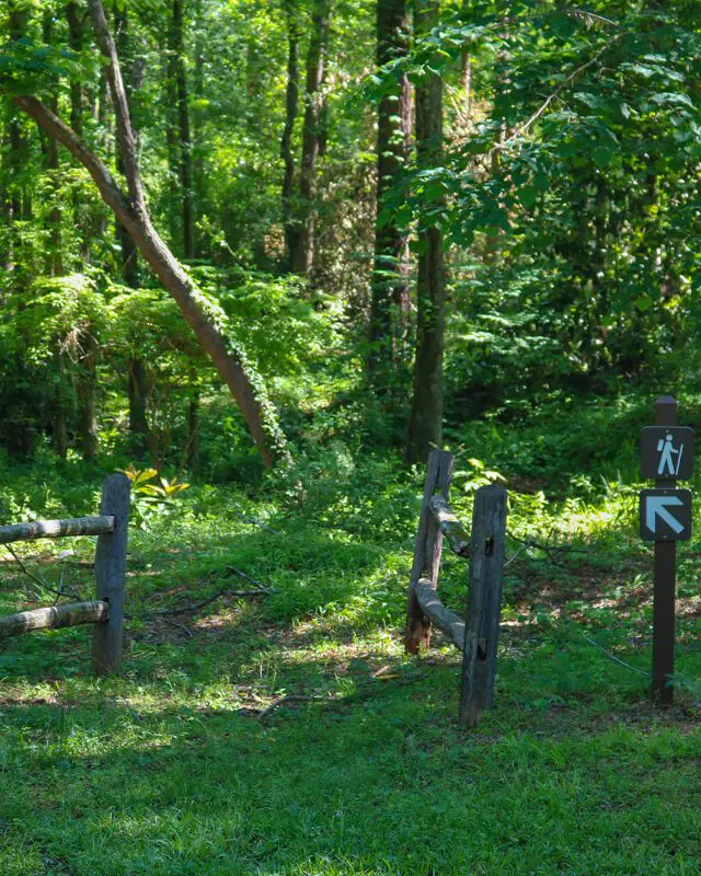 Lockerly_WalkingTrail A trail sign in the middle of a forest.