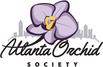 A purple flower with yellow center and city skyline in background.