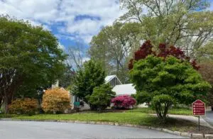 A street with many trees and bushes on the side