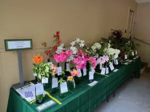 A table with many different flowers on it