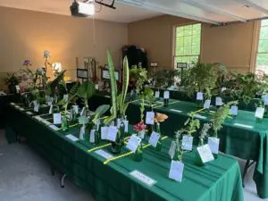 A room filled with lots of plants on top of tables.