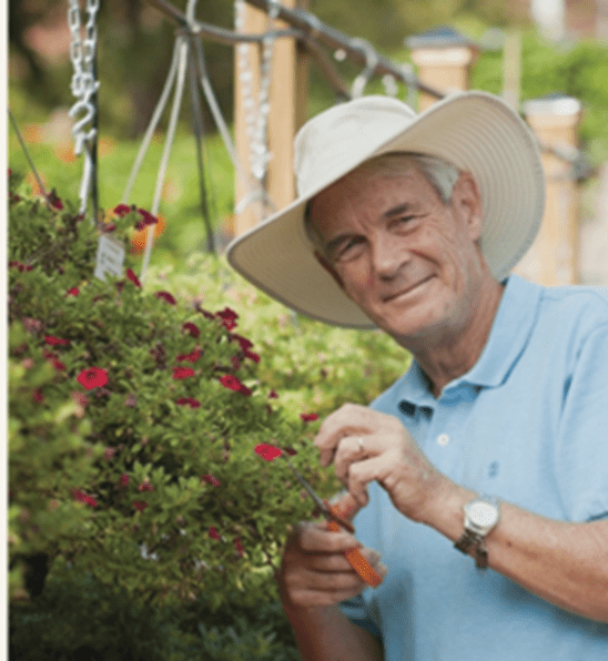 A man in blue shirt and hat pruning flowers.