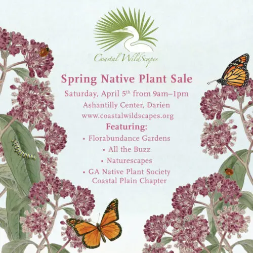 Spring Native Plant Sale flyer with butterflies and purple flowers.