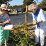 Two elderly women examining flowers outdoors on a sunny day.