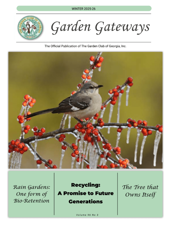 Bird perched on ice-covered red berries.