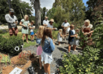 Families exploring community garden on sunny day
