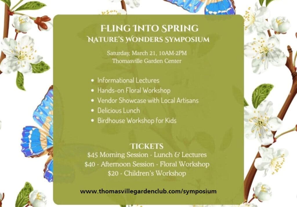 2026 Fling into Spring instagram- edited