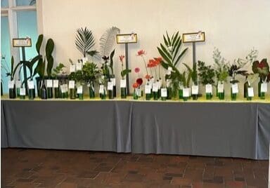 YD3 Plant saplings and flowers decorated on a table