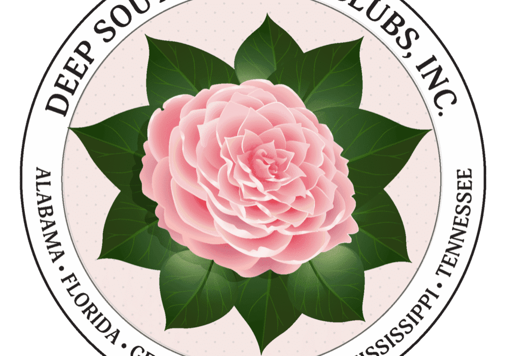 A pink flower with green leaves in the center.